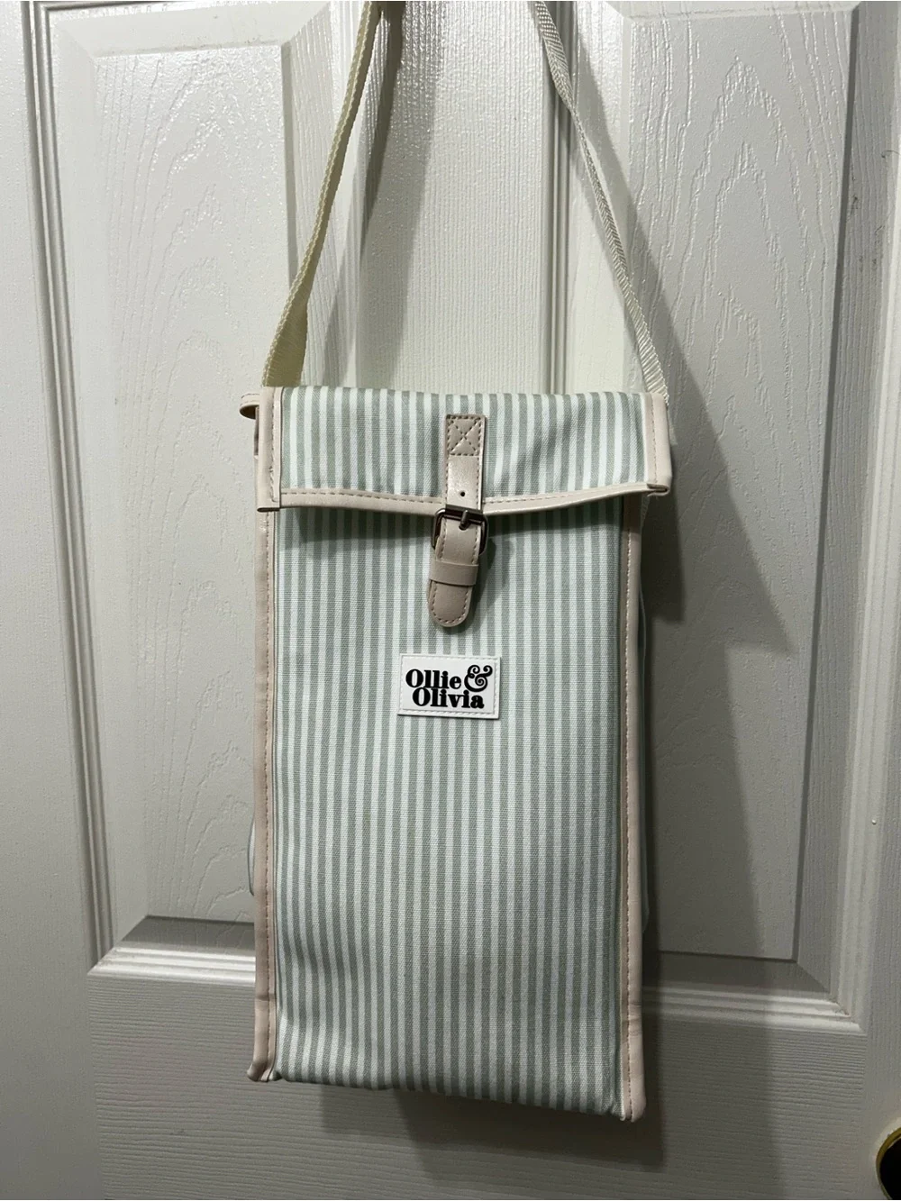 Cooler Bag in Light Green Strip